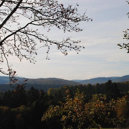 Landgasthof Gruss Brilon Extérieur photo