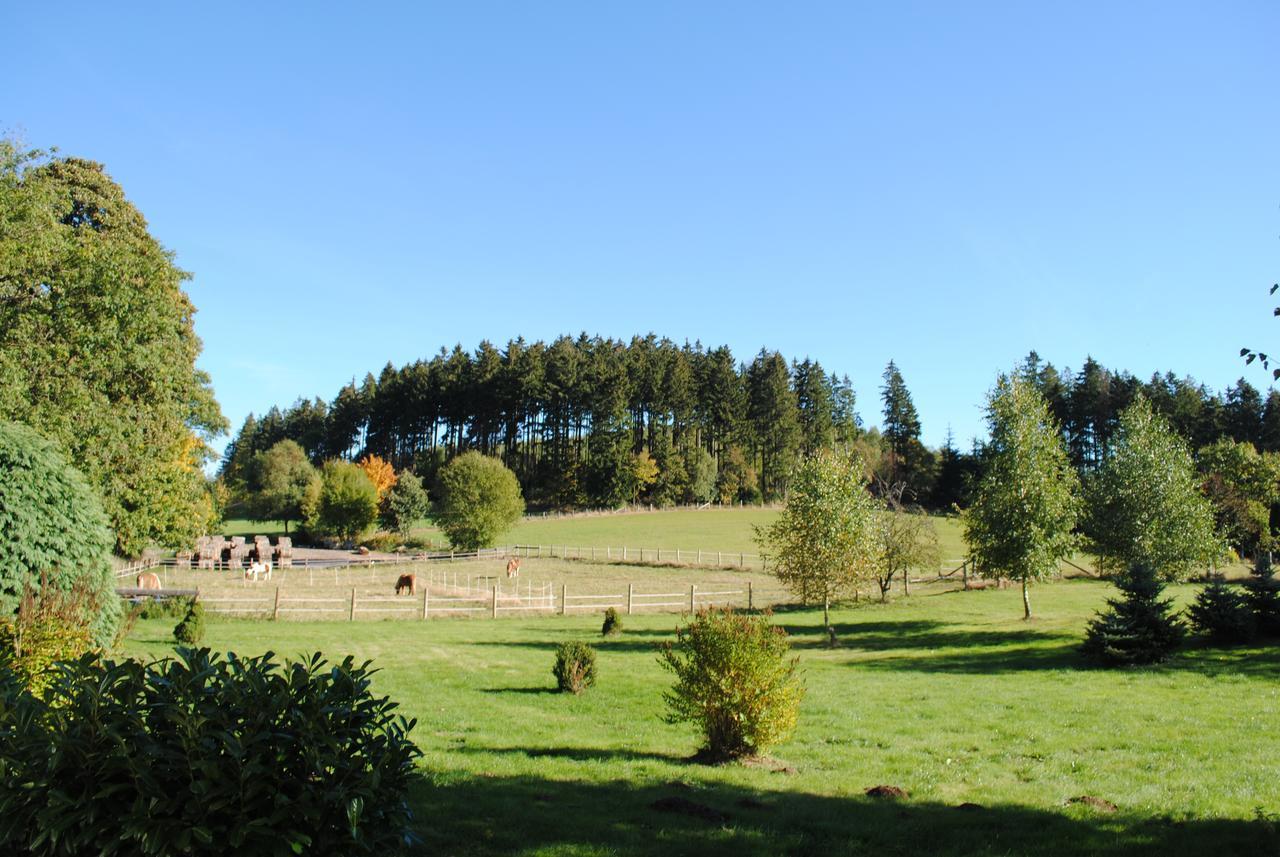 Landgasthof Gruss Brilon Extérieur photo