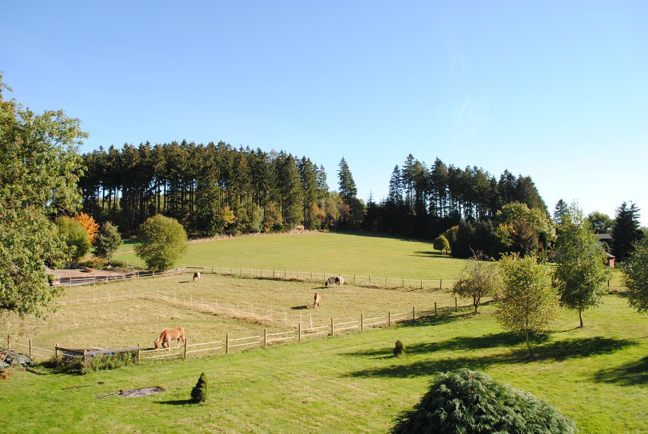 Landgasthof Gruss Brilon Extérieur photo