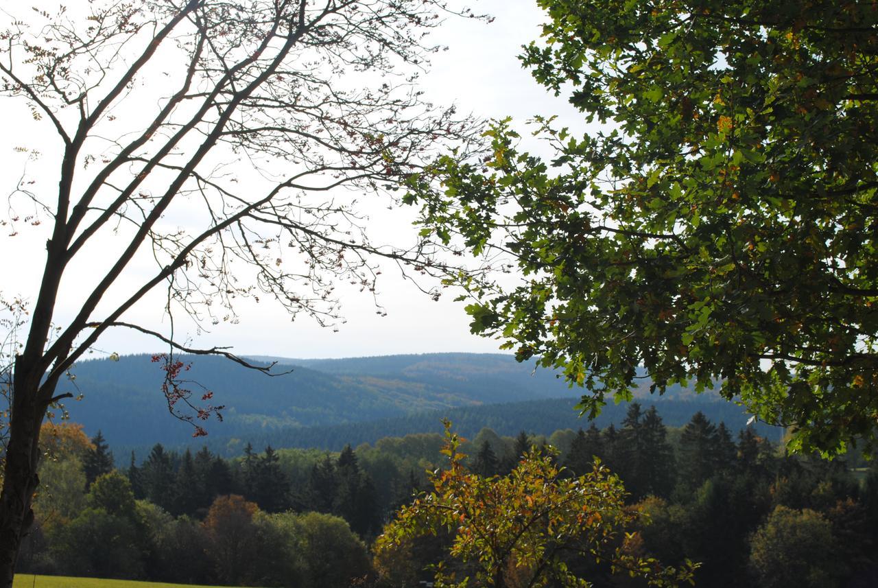 Landgasthof Gruss Brilon Extérieur photo
